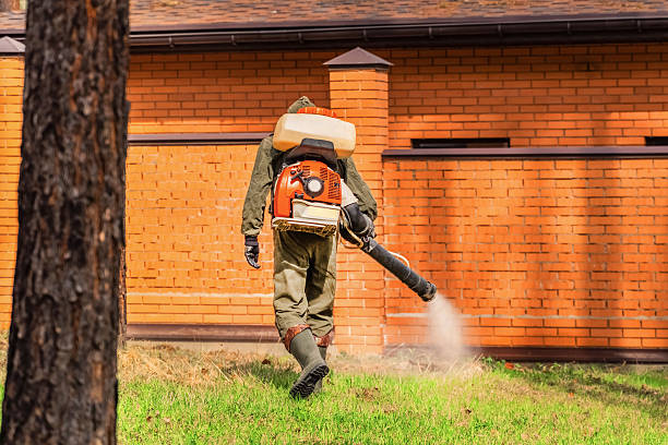 Bed Bug Clearance Verification and Documentation in Paris